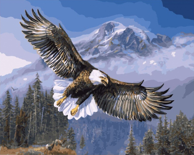 Eagle-Flying-Frameless-Pictures-Painting-By-Numbers-DIY-Digital-Canvas-Oil-Painting-Home-Decor-Wall-Art