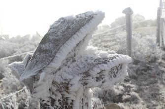 TEMPERATURAS VARIAM ENTRE -1 E – 6ºC NO SUL, COM FORTES GEADAS – Belas imagens! Com jeitinho você pode imaginar um fóssil de dinossauro no gelo.